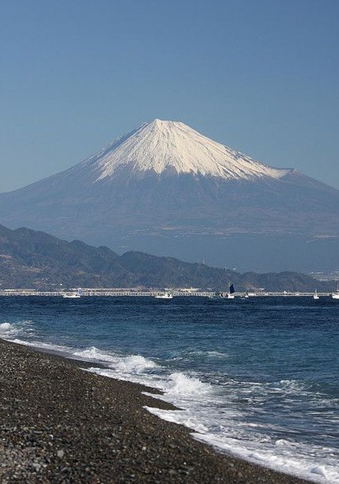 Baligned's tweet image. 新しく始めたオンラインゲームで初心者狩りに遭って心が折れそう 🐞