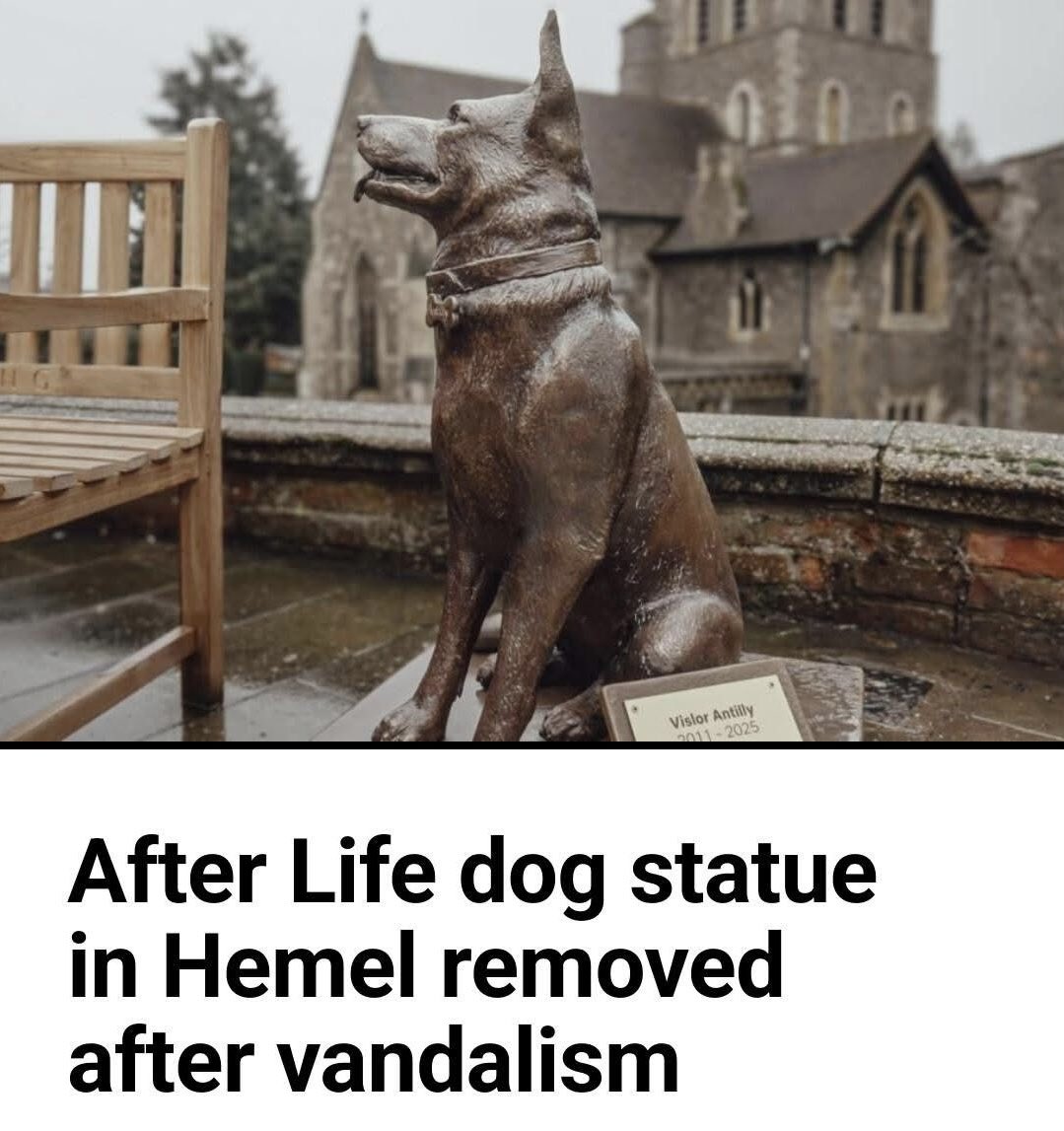 Protect_Wldlife's tweet image. I fail to understand why someone would vandalise the statue of Antilly then I remembered there are some SCUMBAGS out there! 🤬

@RickyGervais #AfterLife #Brandy ❤️