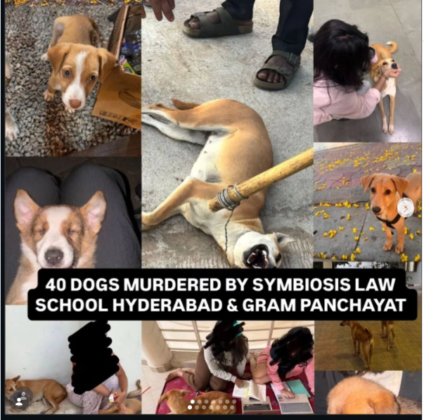 Justice for 40 Dogs: <a href="/symbiosistweets/">Symbiosis International (Deemed University)</a> &amp; Senthilnathan Kumaraguru (linkedin.com/in/ksendhilnat… ) Must Be Held Accountable!

40 vaccinated, sterilized, non-aggressive community dogs were killed after being taken from Symbiosis Law School, Hyderabad.

On 9 January 2026, 40 friendly