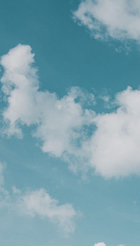 quietwolf's tweet image. 今日は何もやる気起きない1日だった 🍘