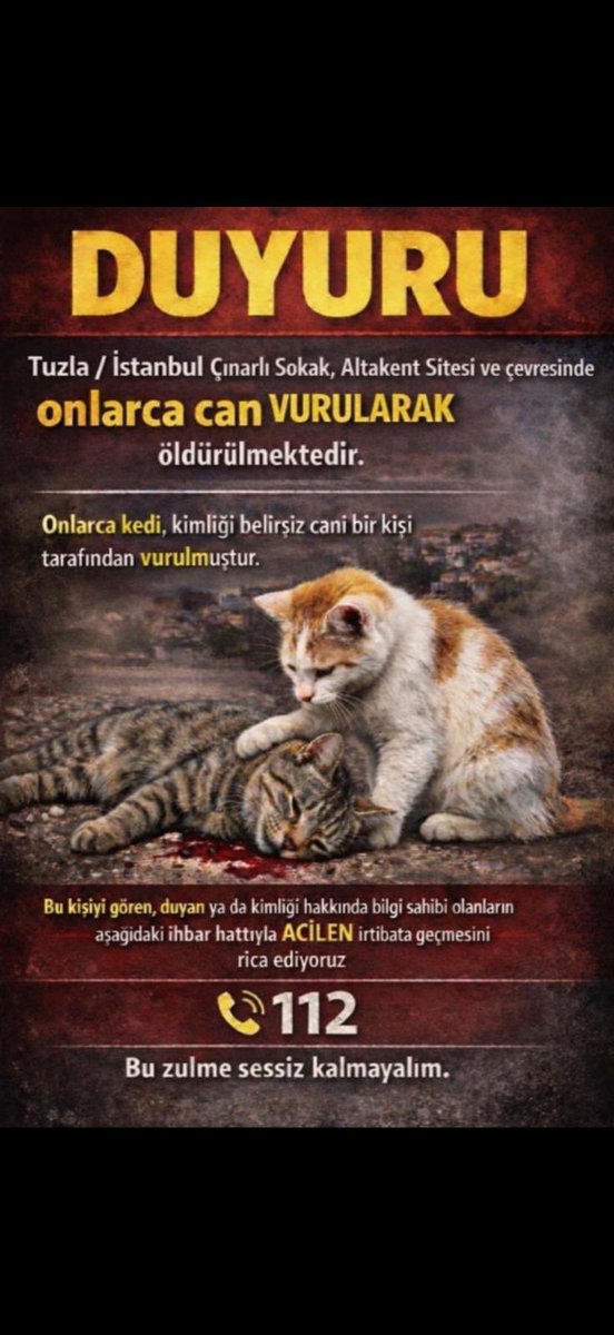 Tuzla'da belirli bir bölgede üst üste kedi cinayetleri yaşanıyor ve site sakinlerinin destek ricası var. Bu katilin bulunması için destek olabilecek varsa, gören duyan varsa lütfen müdahale edelim.