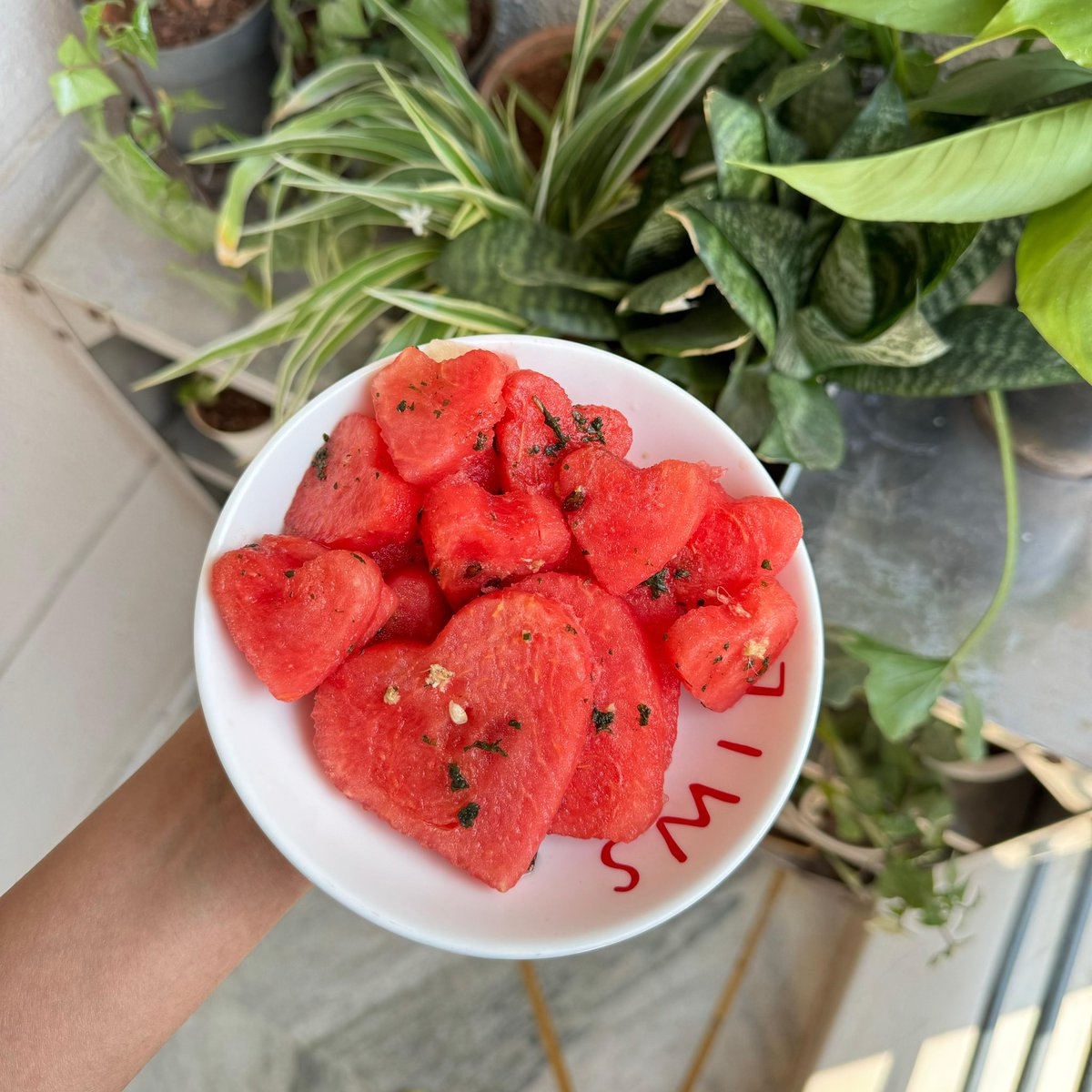 bags by clairo tweet media