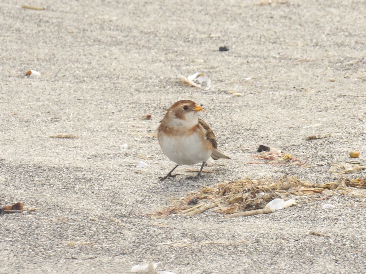 Jack Tynan tweet media