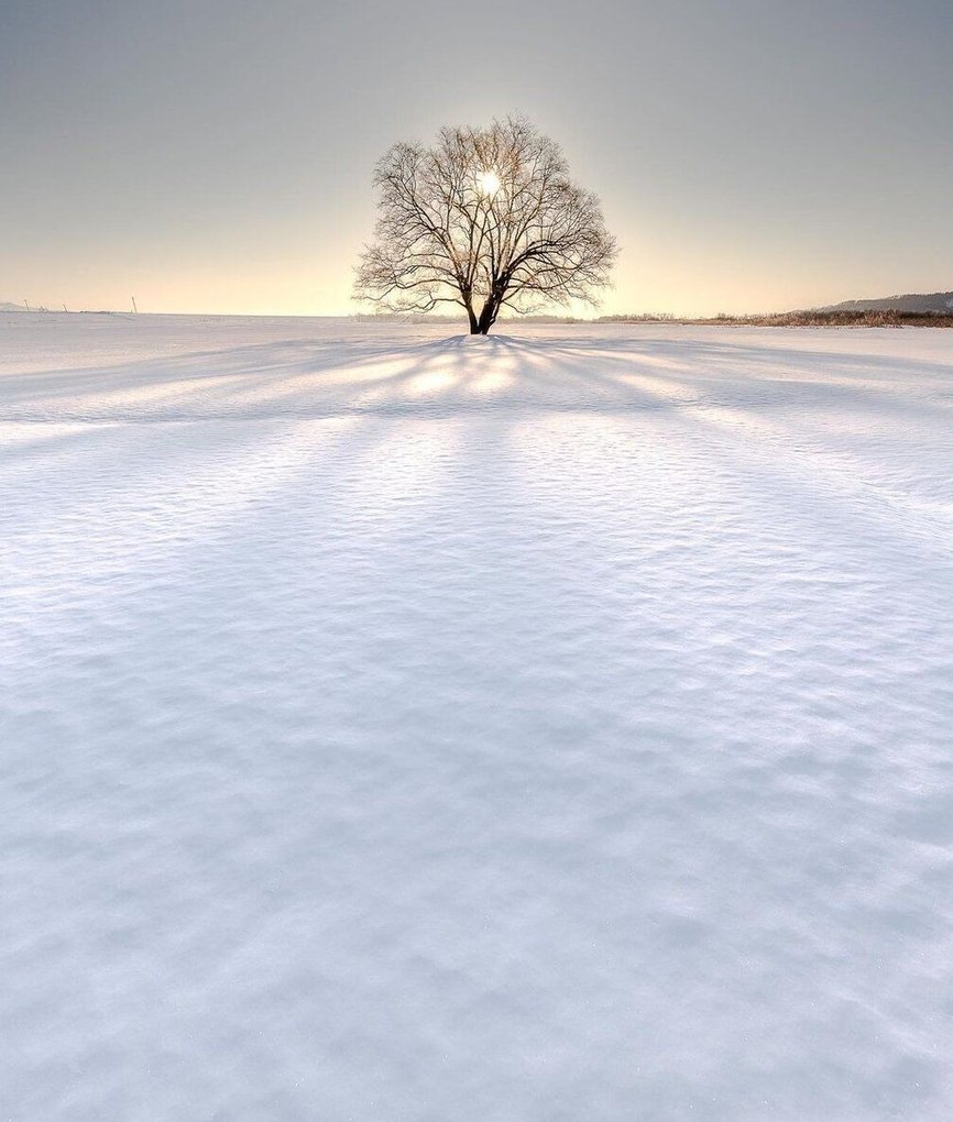 Judeth50's tweet image. スマホのアプリが突然落ちて、ゲームのデータが消えた 🍫