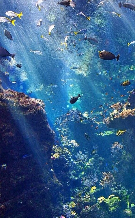 philchat's tweet image. 今夜のテレビ番組チェックしたけど見たいものがない 🦦