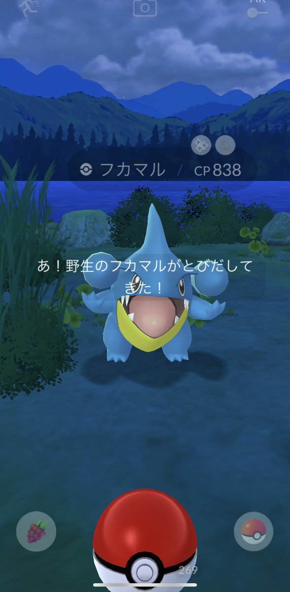 akl_gg's tweet photo. 夜のポケ活◡̈⃝︎⋆︎*
きらリーンしてくれると寒さも吹き飛ぶ(•ᵕᴗᵕ•)
#ポケモンGO
#色違い https://t.co/gH00nHDpF7