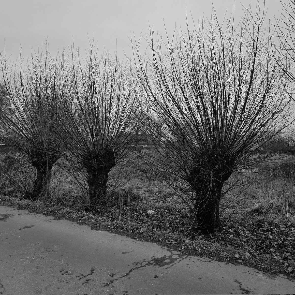 peter_murmann's tweet image. Zwischenzeit...