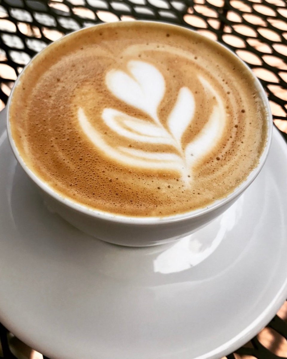 passportcoffee's tweet photo. Cappuccino at Home... You got this. Here’s how to dial it in like a pro:
• Fresh-roasted coffee.
• Espresso: 18–20g.
• Steam cold whole milk.
• ⅓ espresso, ⅓ milk, ⅓ foam
#PassportCoffeeShop #Cappuccino #BaristaTips #EspressoEducation #HomeBarista #AirRoastedCoffee https://t.co/lCr0yQ5KSM