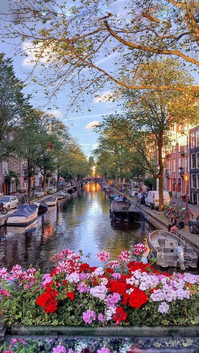 TorOyvind's tweet image. 家族とケンカして気分が沈んでる 👨‍🔬