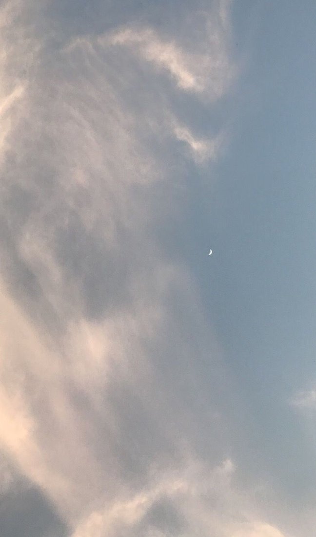 trichellieu's tweet image. 気温が下がって
やっと過ごしやすくなった 🦸