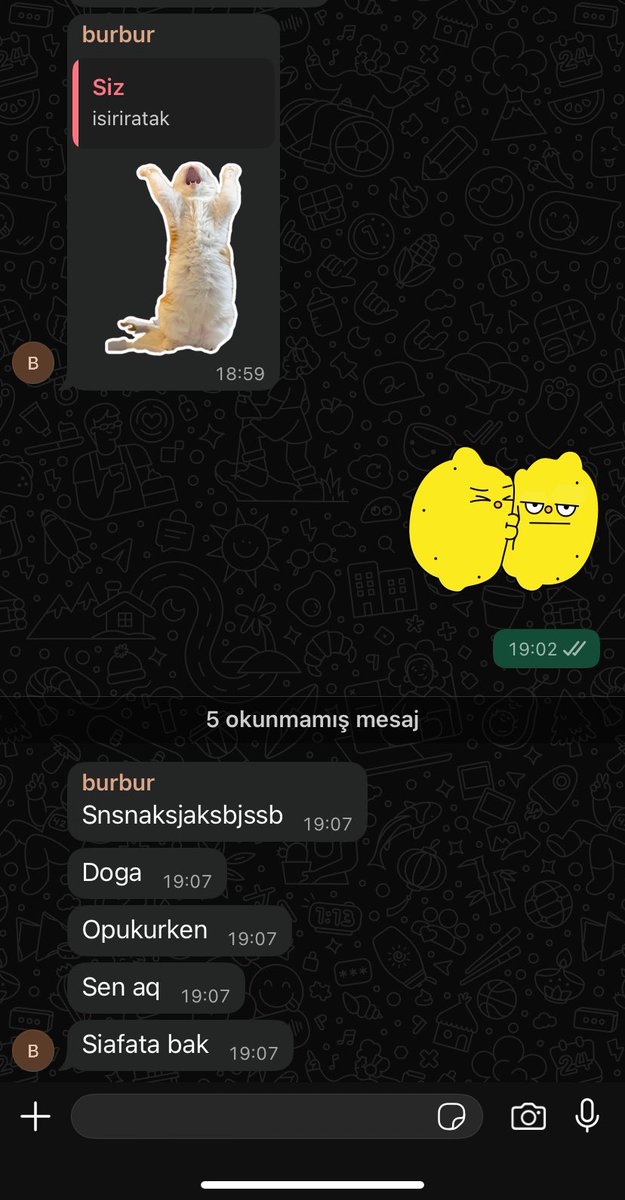 doatando (@turkistramvay) on Twitter photo 