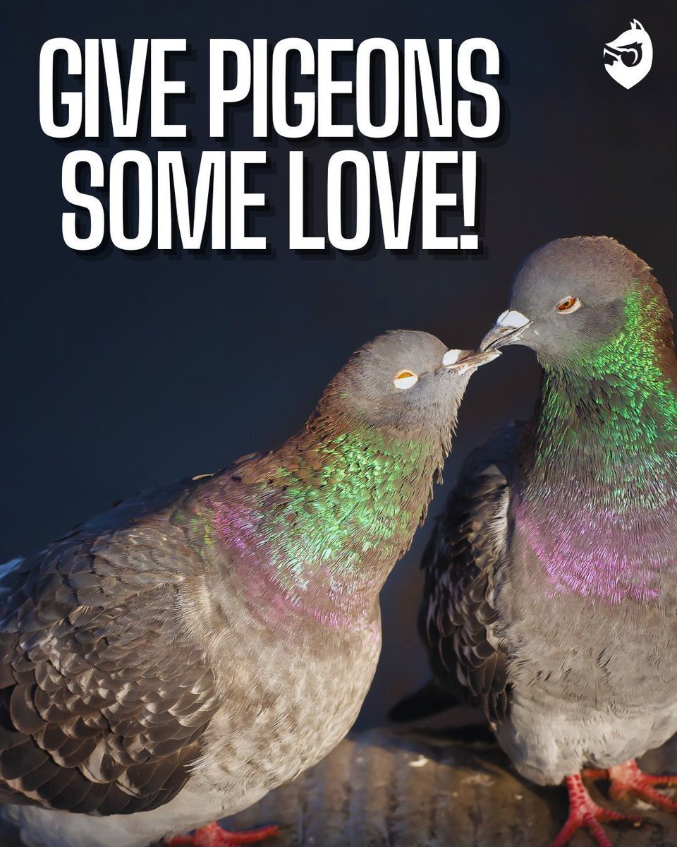 ProtectTheWild_'s tweet image. Damn right!