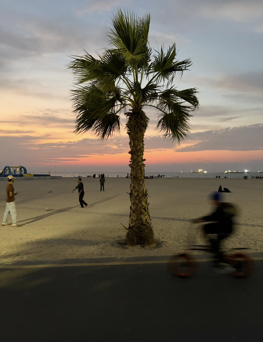 PinkTaxiRunner's tweet image. #streetphotography #singletree