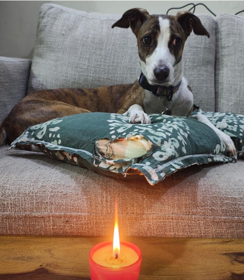 PAL Welfare Foundation tweet media