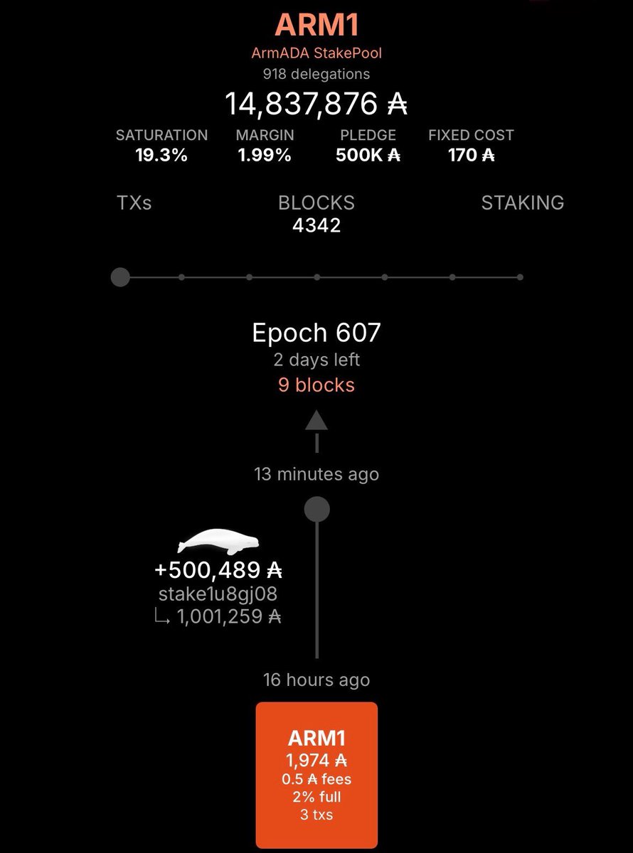 艦隊 - ArmADA Stake Pool - ARM1 tweet media