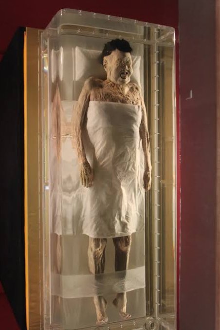 Archaeo - Histories tweet media