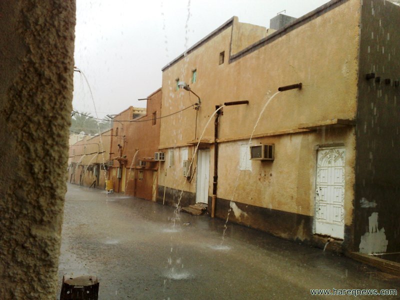 د.جمال الحمداء tweet media