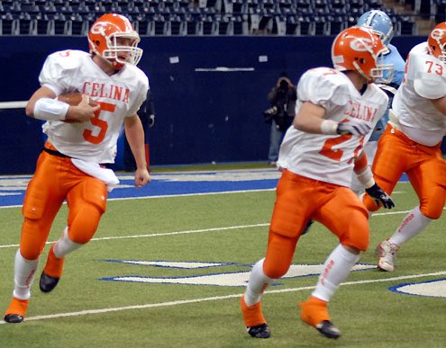 Fizz Rankings tweet media