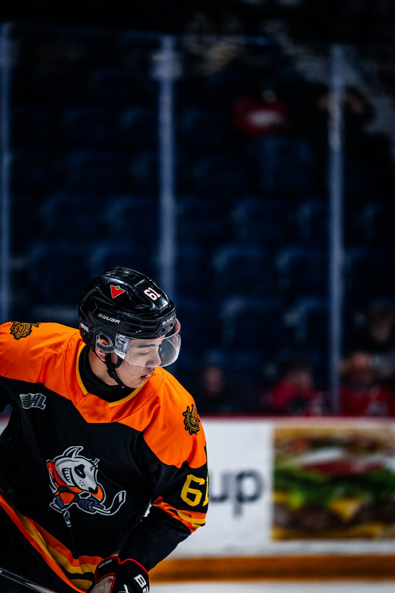 x-Niagara IceDogs tweet media