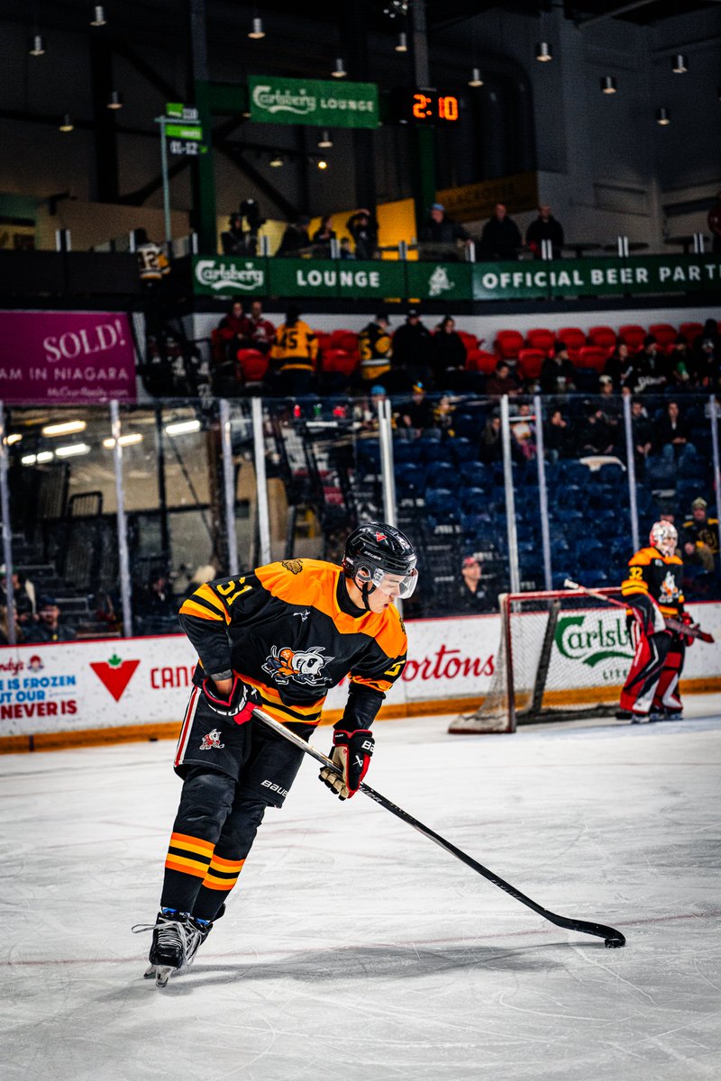 x-Niagara IceDogs tweet media