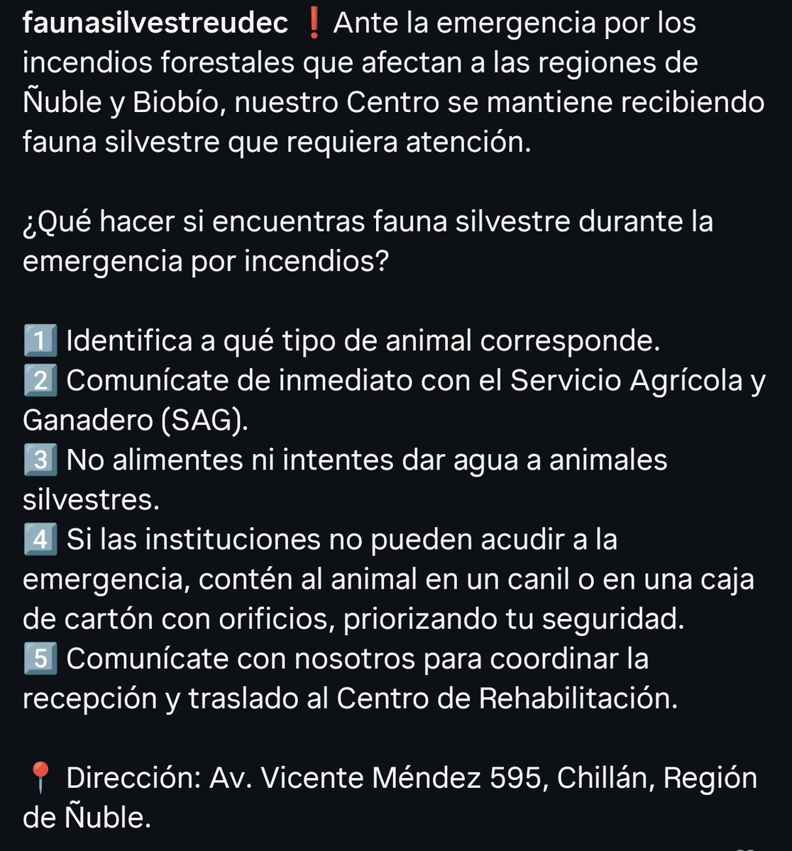 Información del Centro de Rehabilitación de la Universidad de Concepción
