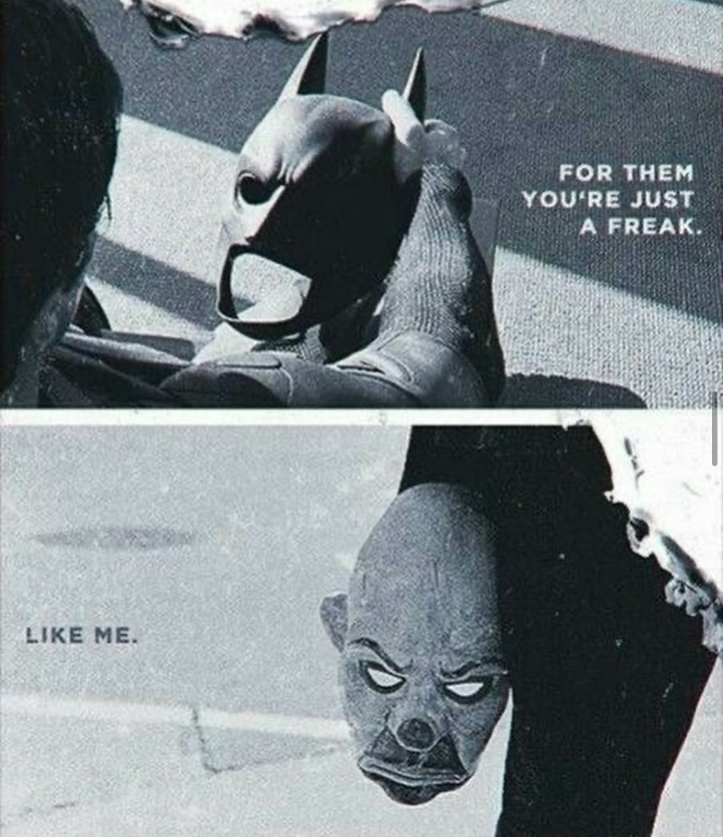TheBatPics (@thebathome) on Twitter photo 