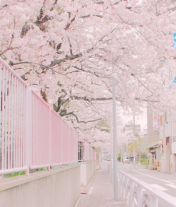 MGaticaC's tweet image. 駅前の新しいラーメン屋、行列できてたから今度行ってみよう 👩‍🦼