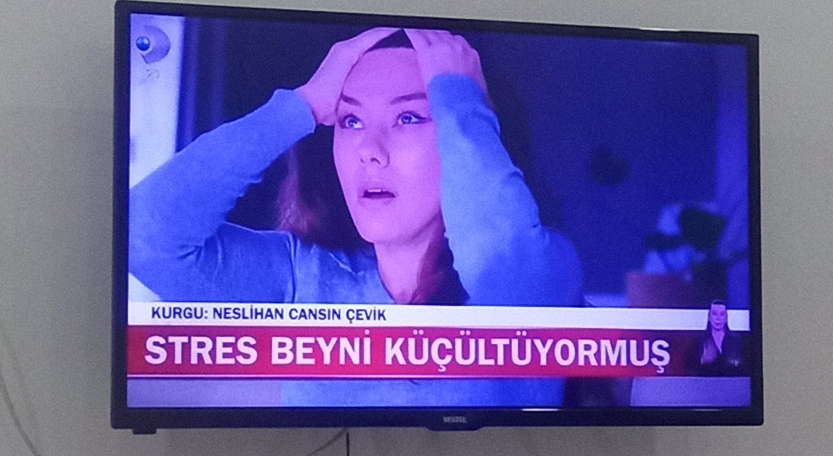 Stres,
insanı düşünemez hâle getirir;
çünkü düşünmek için alan gerekir.