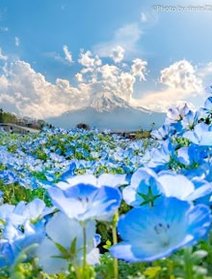 russoooo's tweet image. コーヒーショップで勉強してたら集中できた 🐈