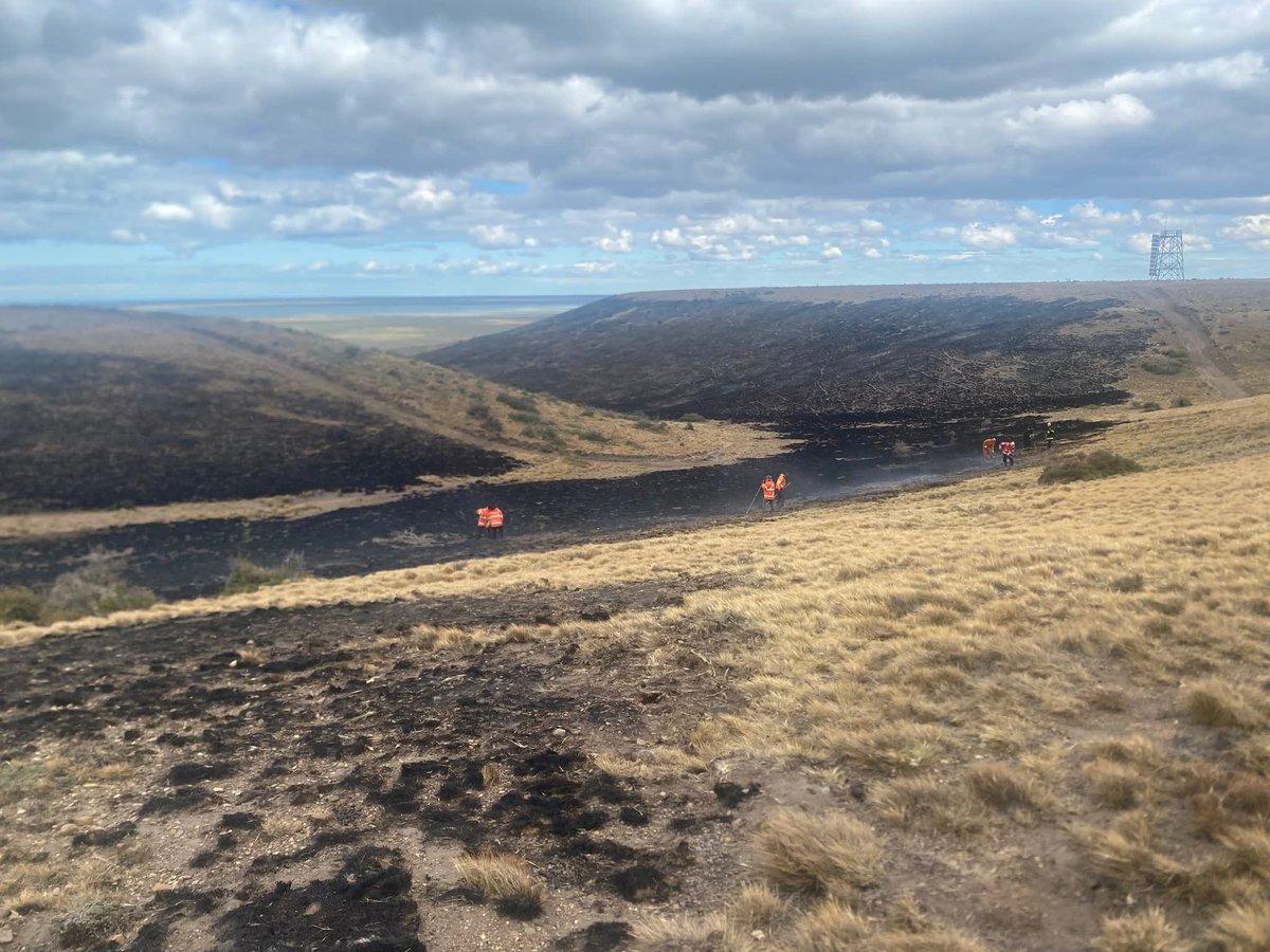RaicesDigitalSC's tweet image. 🔥 Incendio de pastizales controlado
Efectivos de Protección Civil, Bomberos y la Brigada de Incendios Forestales del Consejo Agrario actuaron de forma coordinada del otro lado de la ría para extinguir el foco y proteger el entorno.

#SantaCruz #Prevención #Incendios