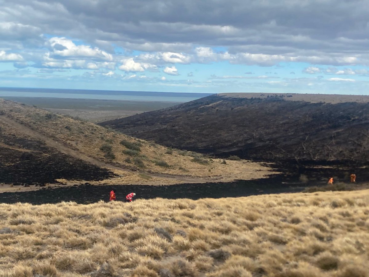RaicesDigitalSC's tweet image. 🔥 Incendio de pastizales controlado
Efectivos de Protección Civil, Bomberos y la Brigada de Incendios Forestales del Consejo Agrario actuaron de forma coordinada del otro lado de la ría para extinguir el foco y proteger el entorno.

#SantaCruz #Prevención #Incendios