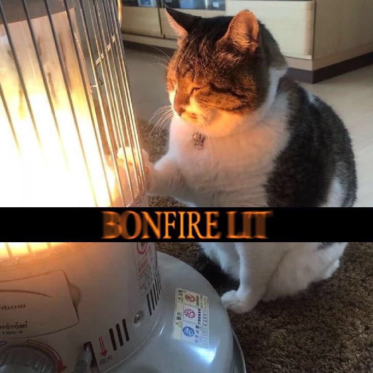 VideoArtGame's tweet image. 