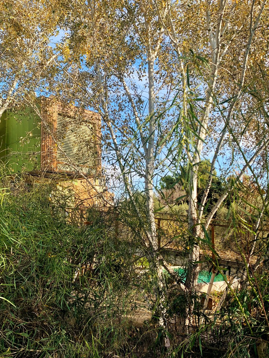 Seguramente sea la casa que más llama la atención cuando paseas por la mota del Río Segura.