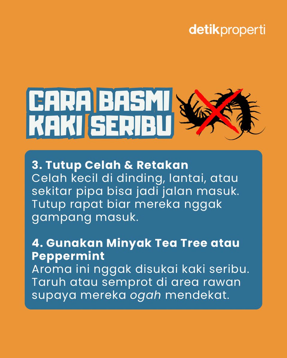 detik_properti's tweet image. Siapa nih yang rumahnya mendadak kedatangan kaki seribu pas musim hujan gini? Ganggu banget kan 😩⁣
⁣
Walau sebenarnya nggak berbahaya, tetep aja nggak semua orang nyaman satu atap sama ‘tamu’ dadakan ini.
⁣
#detikProperti #TipsRumah #KakiSeribu #MusimHujan