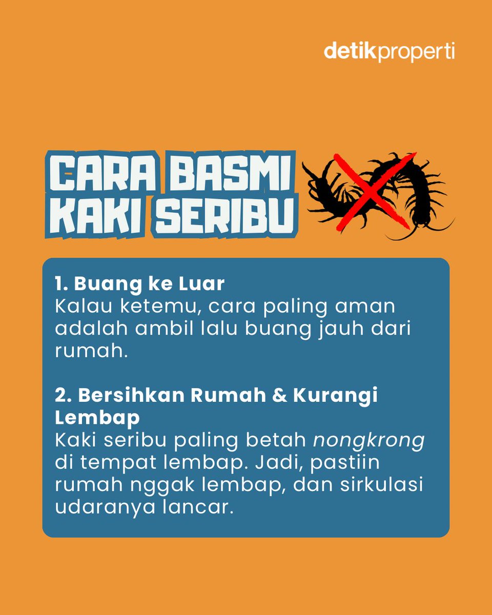 detik_properti's tweet image. Siapa nih yang rumahnya mendadak kedatangan kaki seribu pas musim hujan gini? Ganggu banget kan 😩⁣
⁣
Walau sebenarnya nggak berbahaya, tetep aja nggak semua orang nyaman satu atap sama ‘tamu’ dadakan ini.
⁣
#detikProperti #TipsRumah #KakiSeribu #MusimHujan