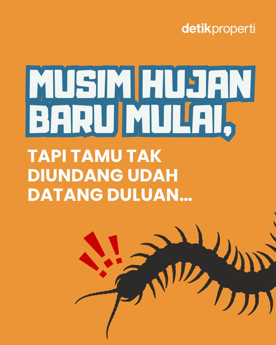 detik_properti's tweet image. Siapa nih yang rumahnya mendadak kedatangan kaki seribu pas musim hujan gini? Ganggu banget kan 😩⁣
⁣
Walau sebenarnya nggak berbahaya, tetep aja nggak semua orang nyaman satu atap sama ‘tamu’ dadakan ini.
⁣
#detikProperti #TipsRumah #KakiSeribu #MusimHujan