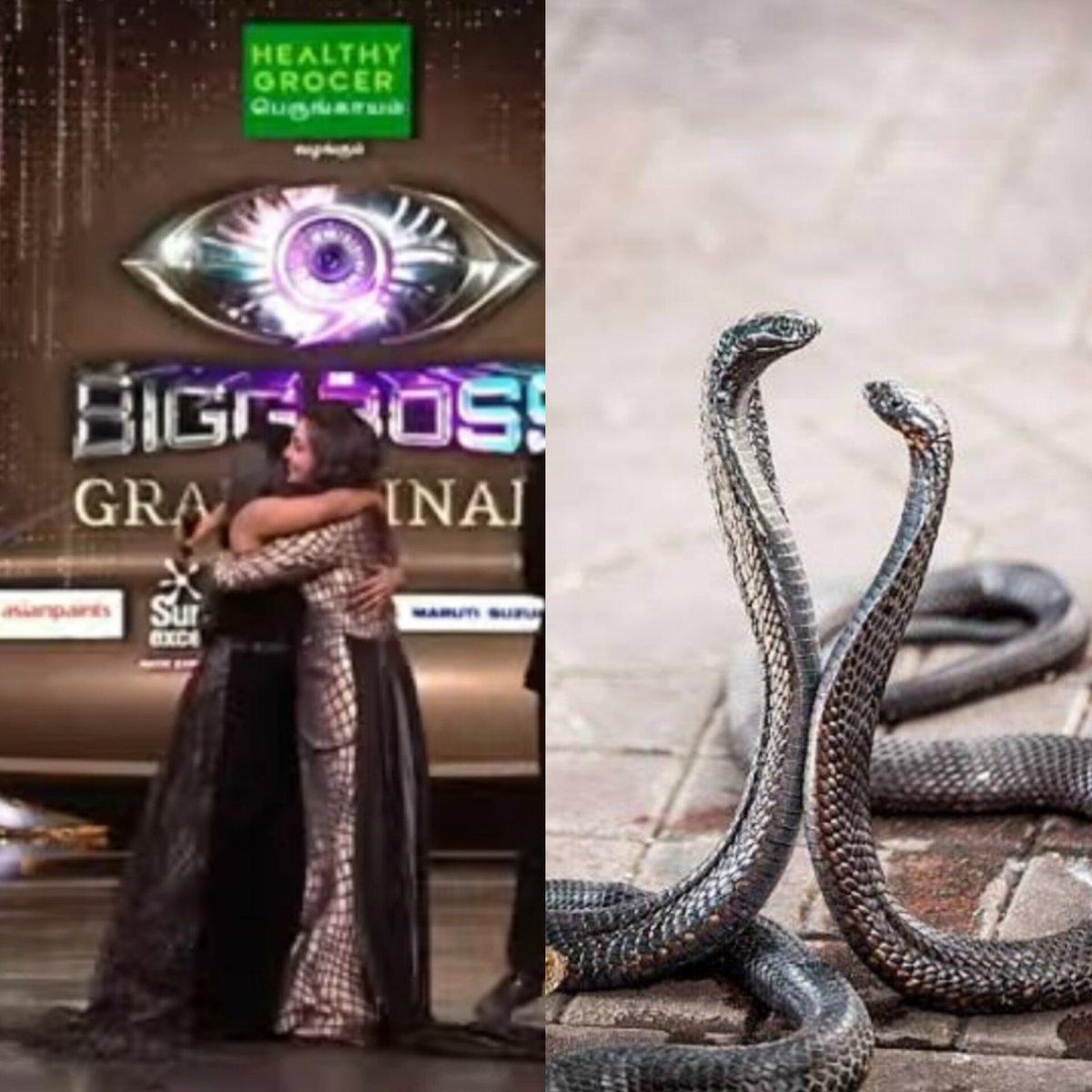 codnewscrap's tweet photo. 2 snakes 🐍 
🤮🤮🤮🤮🤮🤮
#BiggBossTamil9 https://t.co/kqTaF6xxwx