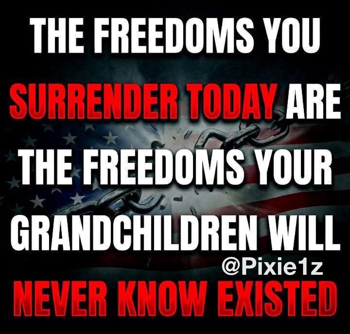 Pixie1z's tweet photo. Never surrender our freedoms. https://t.co/4zsu2LN7V9