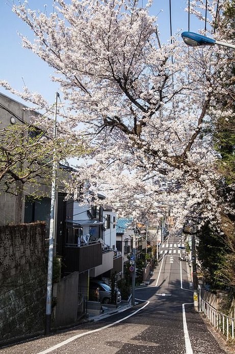 Infospace2's tweet image. 新しい美容院予約したから来週行ってくる 👼