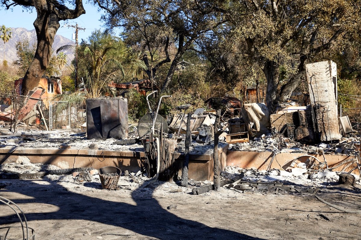 L.A. Reported tweet media