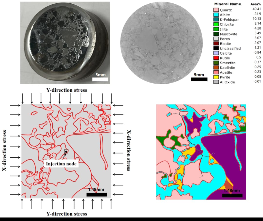 InterPore tweet media