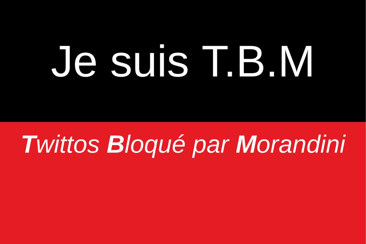 Qui fait partie du collectif TBM ? 😂 

Qui a eu le privilège d’être bloqué par #Morandini ? 

J’en suis ! Qui d’autre ?