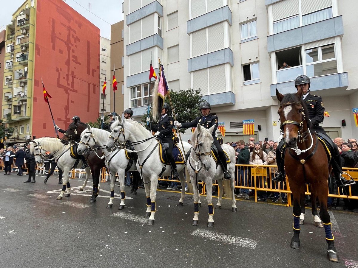 MncGCS's tweet image. 🐷Magnífico y multitudinario desfile y bendición de animales en el día grande de Sant Antoni. Un año más la primera festividad de enero arranca demostrando que las fiestas de Valencia son un tesoro patrimonial. 
@AntonianosVal 
@VoxValencia_C 
@VOX_Valencia