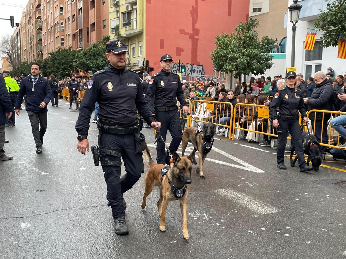 MncGCS's tweet image. 🐷Magnífico y multitudinario desfile y bendición de animales en el día grande de Sant Antoni. Un año más la primera festividad de enero arranca demostrando que las fiestas de Valencia son un tesoro patrimonial. 
@AntonianosVal 
@VoxValencia_C 
@VOX_Valencia