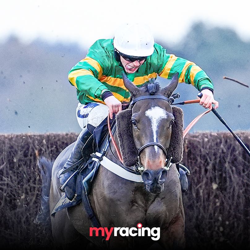 Jonbon's career stats are truly remarkable

💨 26 runs
🥇 x19 
🥈 x7 
💰 £1,554,731 earnings
📈 Career best RPR of 173