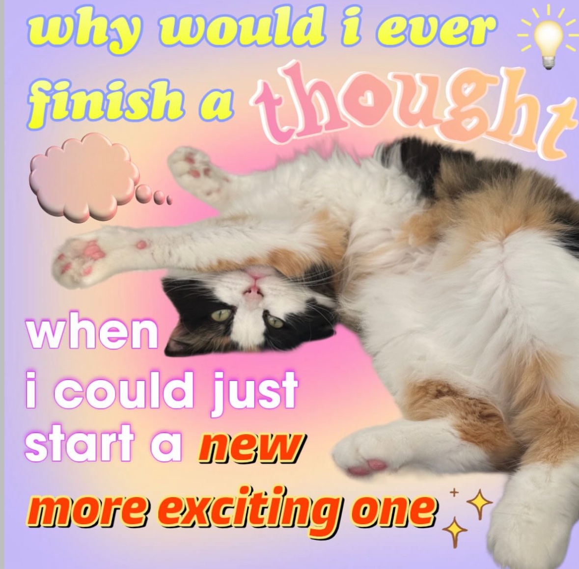 RespectfulMemes's tweet image. 