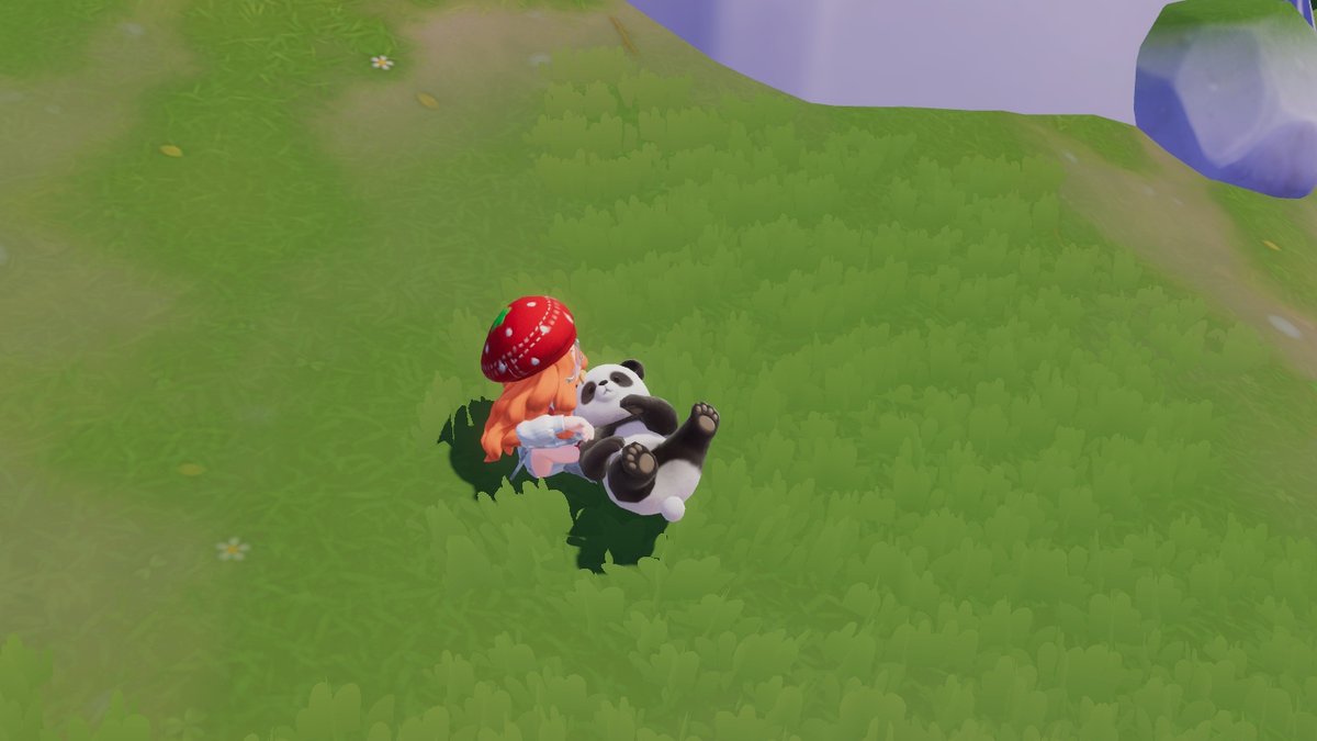 sieunrl's tweet image. esses pandas são muito folgados ficam se arrastando no chão só pra eu colocar comida pra eles