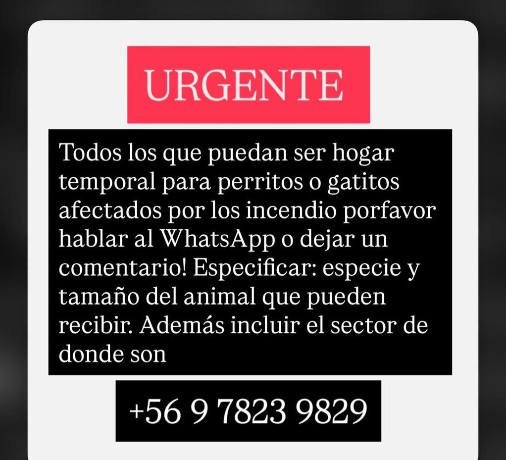 #EPM_INFORMA
#Region_Del_Bio_Bio
Todos los que puedan ser hogar temporal para perritos o gatitos afectados por los IF porfavor hablar al WhatsApp o dejar 1 comentario Especificar especie y tamaño del animal que pueden recibir.Además incluir el sector de donde son +56 9 7823 9829