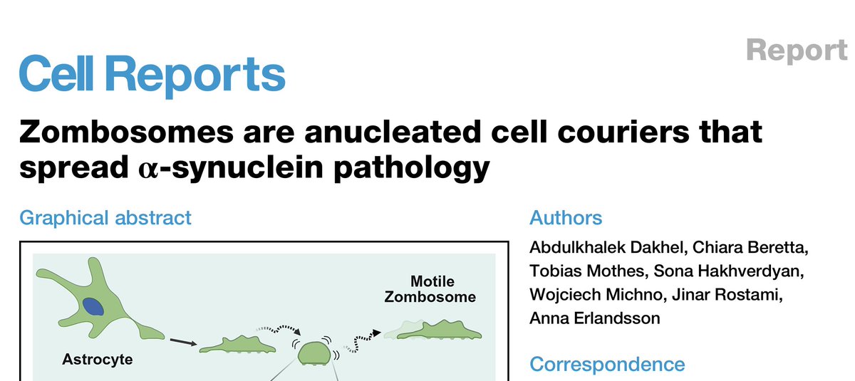 Dylan Burnette tweet media