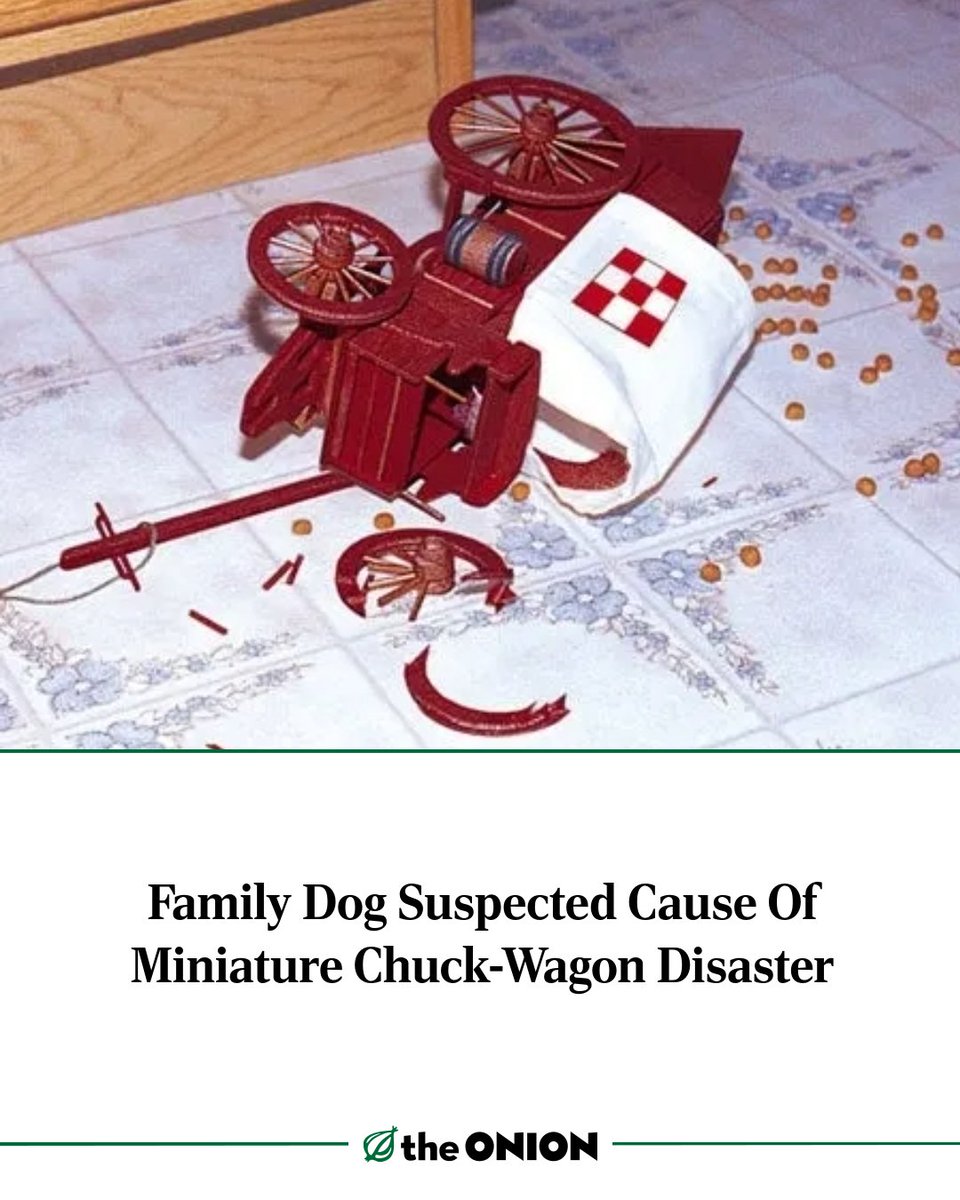 Big side eyes from the bears: